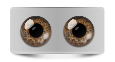 Натуральные_01274