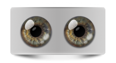 Натуральные_01286