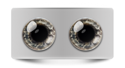 Натуральные_01371