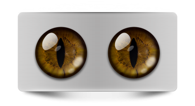 Звериные_02006