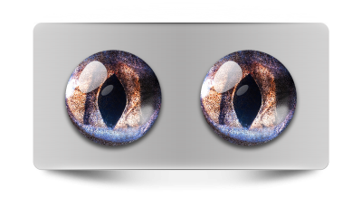 Звериные_02008