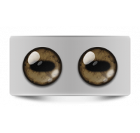 Звериные_02010