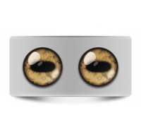 Звериные_02011