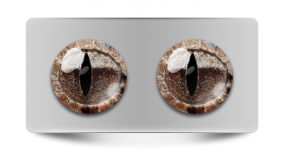 Звериные_02012