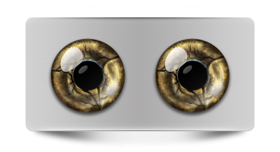 Звериные_02013