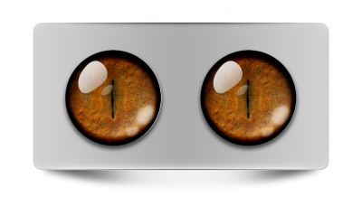 Звериные_02014