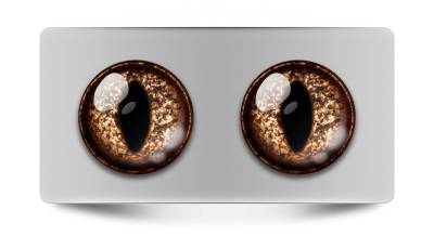 Звериные_02015