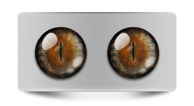 Звериные_02016