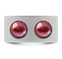 Звериные_02025