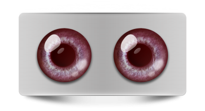 Звериные_02027