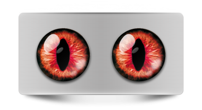 Звериные_02031