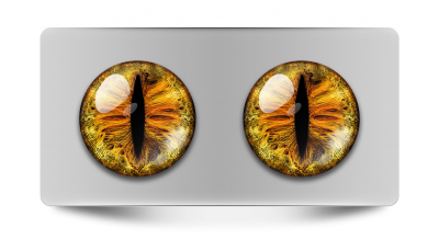 Звериные_02041