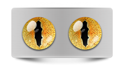 Звериные_02042