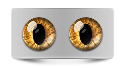 Звериные_02044