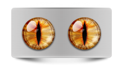 Звериные_02045