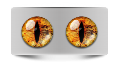 Звериные_02046