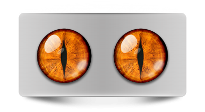 Звериные_02047