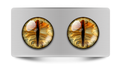 Звериные_02049