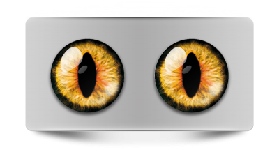 Звериные_02053