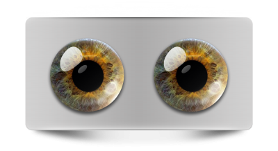 Звериные_02054