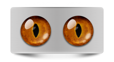 Звериные_02058