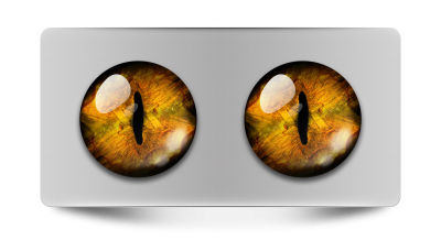 Звериные_02060