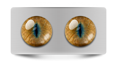 Звериные_02061