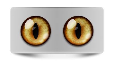 Звериные_02062