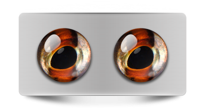 Звериные_02065