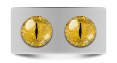 Звериные_02067