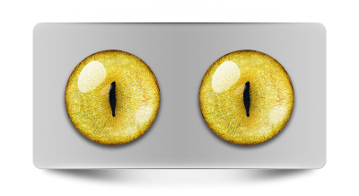 Звериные_02068