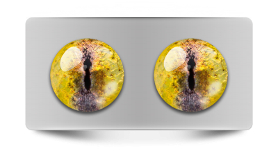 Звериные_02070