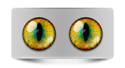 Звериные_02072