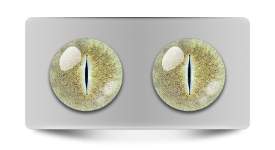 Звериные_02073