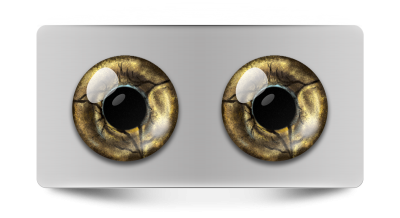 Звериные_02078