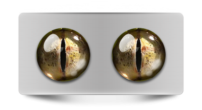 Звериные_02079