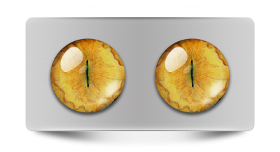 Звериные_02081