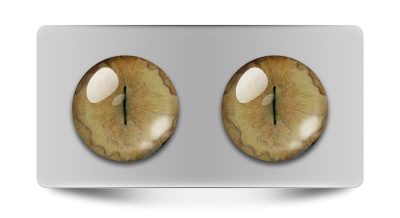 Звериные_02082