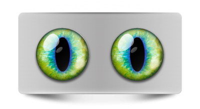 Звериные_02088