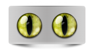 Звериные_02089