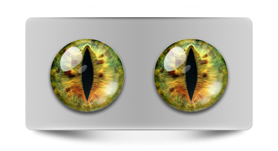 Звериные_02091