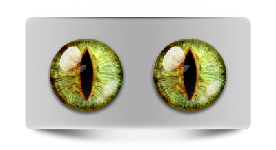 Звериные_02092