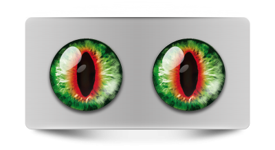 Звериные_02093