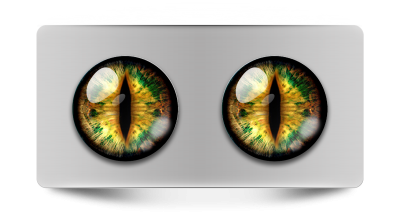 Звериные_02094