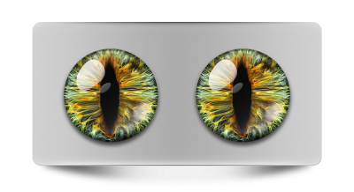 Звериные_02095