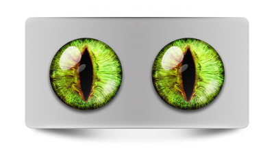 Звериные_02096