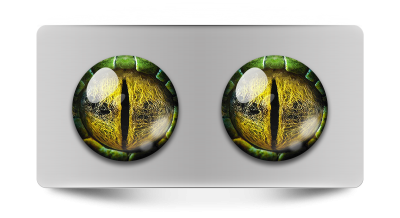 Звериные_02097