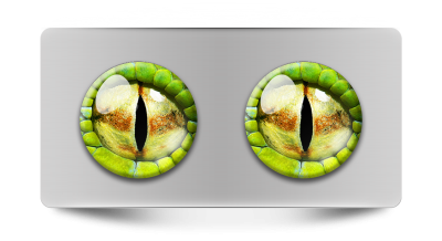 Звериные_02098