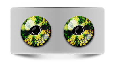 Звериные_02099