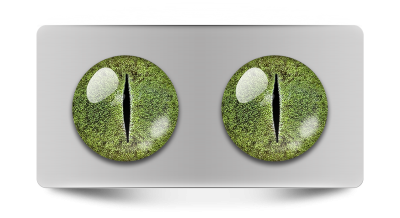 Звериные_02102